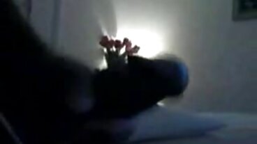 Holed වෙතින් සරාගී රෙබෙල් ලින් සමඟ මධ්‍යම ප්‍රමාණයේ ටිට්ස් දර්ශනය